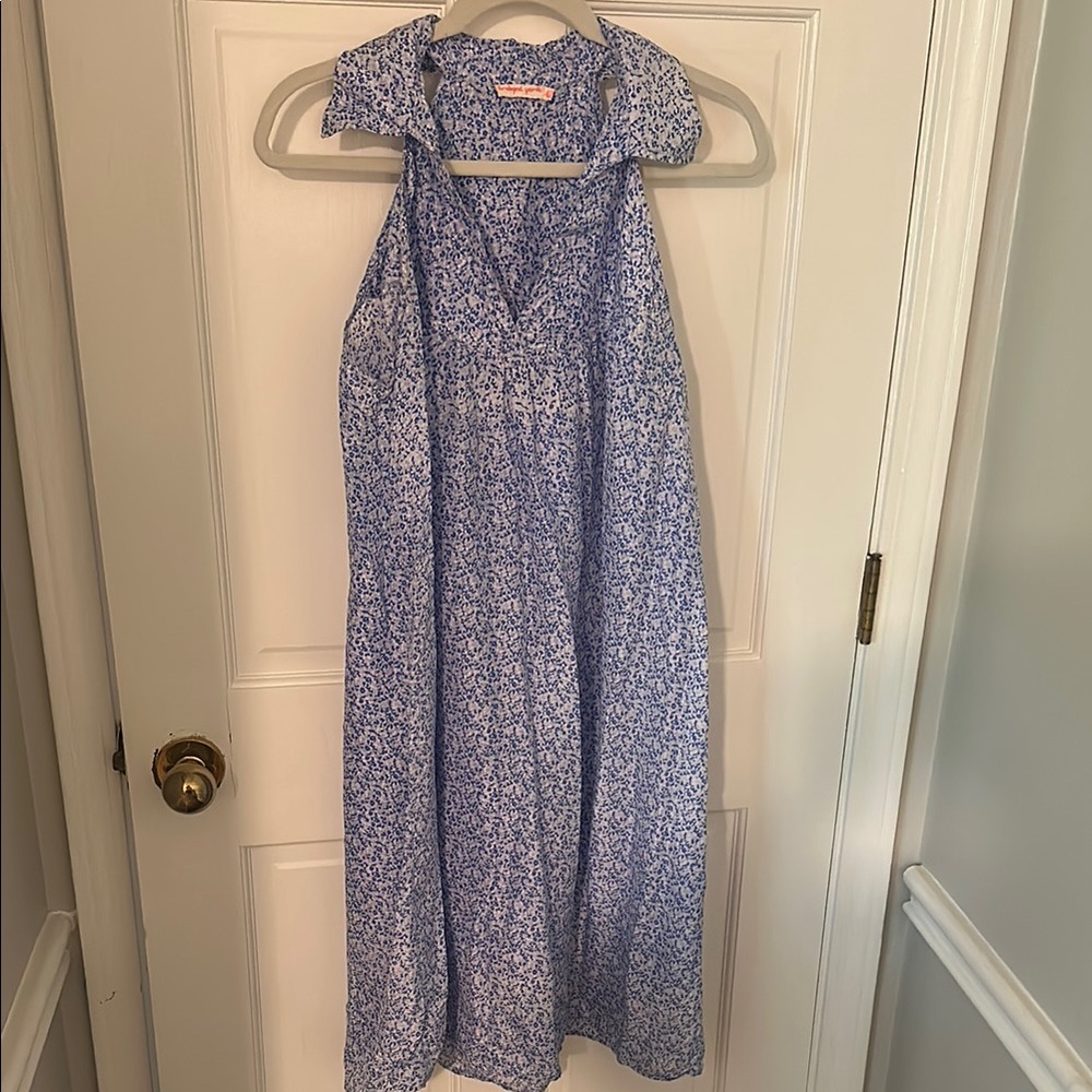 Blue Floral Sleeveless Dress
